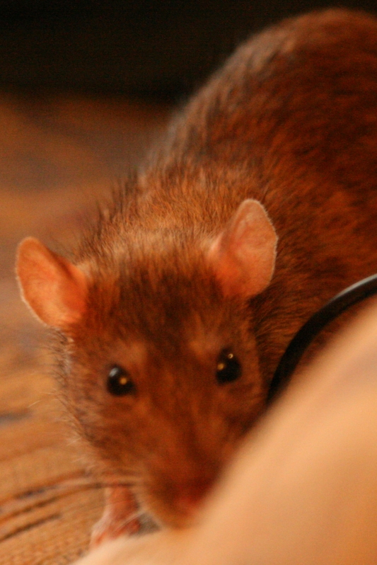 EOS_2600.jpg