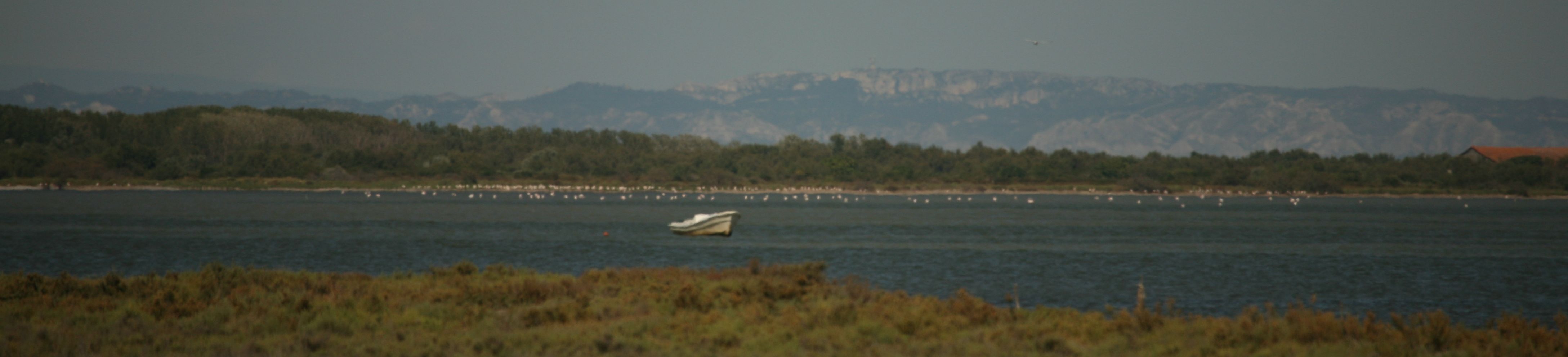 EOS_3011.jpg
