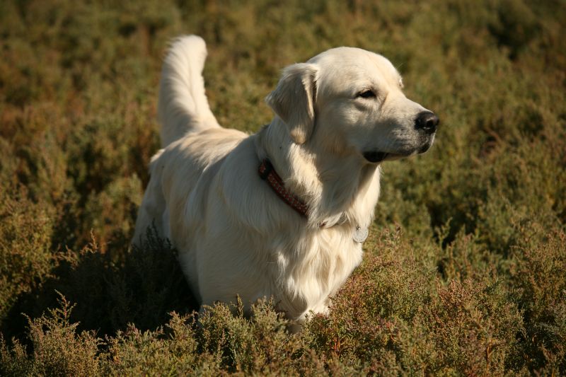EOS_3022.jpg