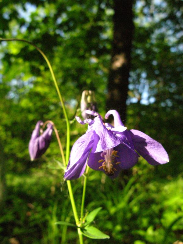 G9_2777.jpg