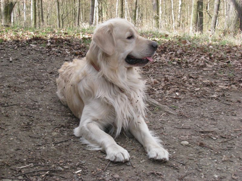 23 IXUS_5515.jpg