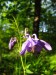 G9_2777.jpg