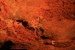 EOS_5207.jpg